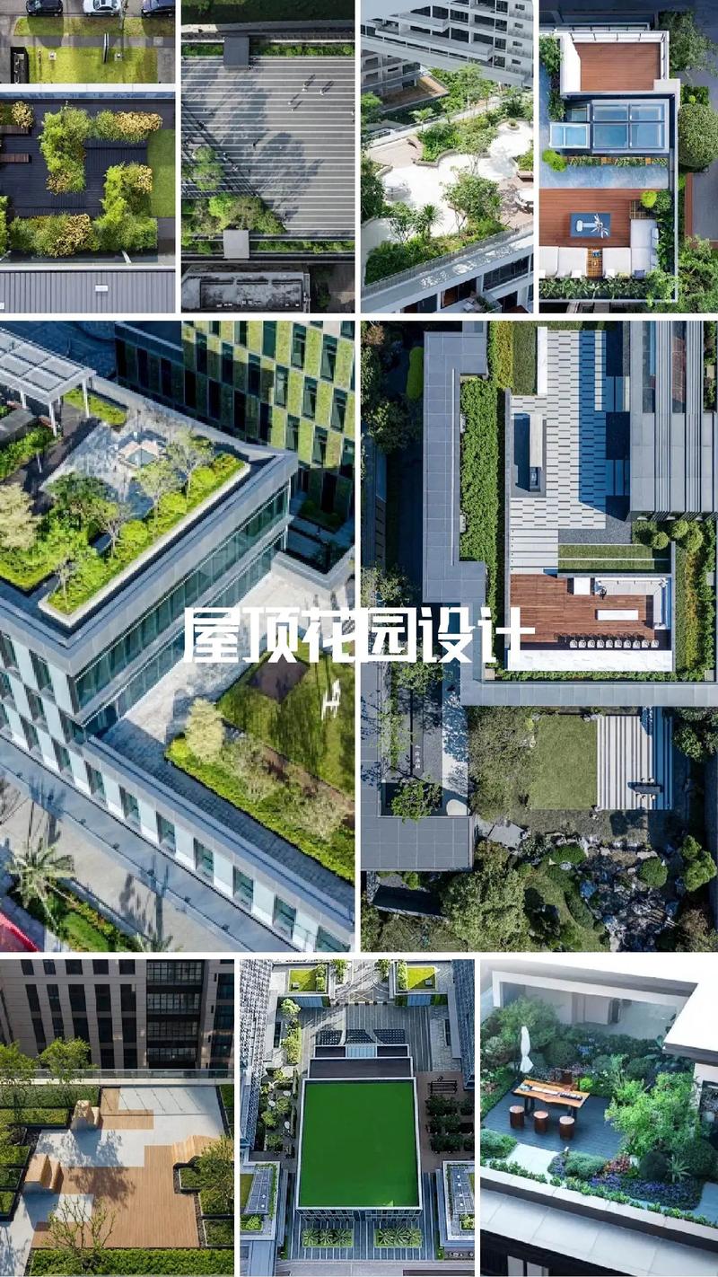道路绿化养护：守护城市的“绿色生命线”